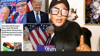 JUBILATION IPOB LOBBYIST AS CHIEF OF STAFF TO PRESIDENT DONALD TRUMP November 11  2024 [upl. by Angelina61]