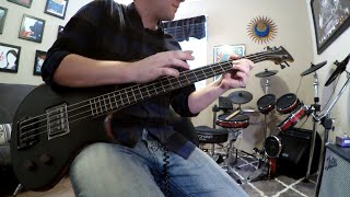 Bass Cover  Primus  Mr Knowitall [upl. by Sirhc569]