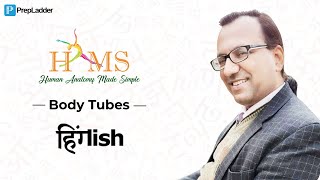 Body Tubes Anatomy Discussion Dr Rajesh K Kaushal [upl. by Tindall]