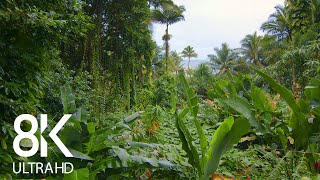 Incredible Jungle Sounds 8K  Exotic Birds Singing in Tropical Rainforest 8 HOURS  Part 1 [upl. by Benedick638]