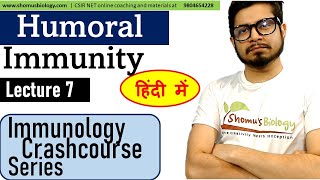 Humoral immunity in Hindi  Immunology lecture 7 [upl. by Denys]