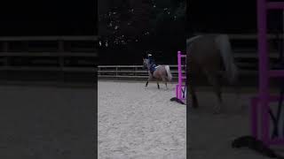 I love when Harlow and demir ran to go see if he was ok horse horseridingfail HarlowLunaWhite [upl. by Okechuku]