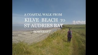 Kilve Beach to St Audries Bay  Coastal Walk  Somerset [upl. by Cagle567]