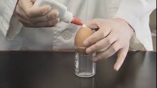 Video 32 Making of an egg osmometer [upl. by Naesar]