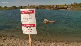 Algae bloom closes Esther Simplot Park ponds [upl. by Nauqas973]