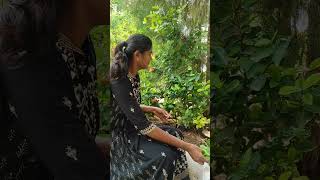 Ixora plant propagation best flowering in outdoorgardenup gardening garden gardendesign [upl. by Adev893]