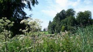 Château de la Hulpe  Domaine Solvay  Belgique [upl. by Inness578]