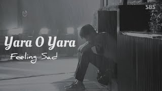 Yara O Yara Teri Adaao Ne Mara  Slowed Reverb  Feeling Very Sad  LoFi747 [upl. by Kerk]