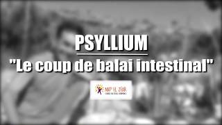 Le Psyllium pour un bon nettoyage intestinal [upl. by Zelma]