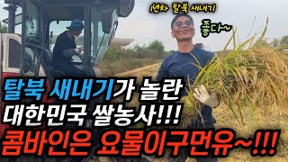 탈북 1년차와 10년차가 모두 놀란 대한민국의 쌀 농사법 몇십명에 몇달해야 할 농사를 하루에 다 하는 콤바인은 대체 뭘까 김영철콤프레샤 소통상회 탈북 [upl. by Steep90]