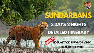 Sundarbans Tour  Sundarbans National Park Detailed Itinerary  Tigers of Sundarbans [upl. by Esbenshade]