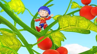 Noddy In Toyland  Tessies Garden Grows And Grows  Noddy English Full Episodes  Kids Cartoon [upl. by Htiderem]