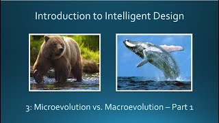 3 Microevolution vs Macroevolution Part 1 [upl. by Eisserc]