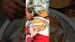 Kachori chaat 💯👌 streetfood kachorichaat indianfood [upl. by Jada]