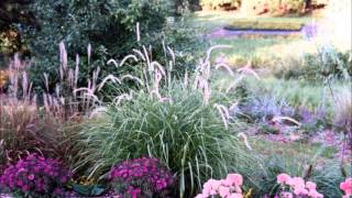 Gardens Made with Ornamental Grasses and Perennials [upl. by Tybie]