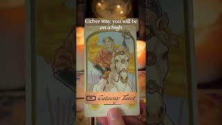 Where Will You Meet Your Future Spouse  Group 2  tarot tarotreading [upl. by Orelu]