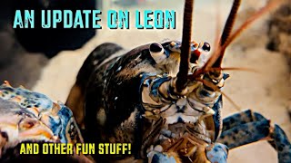 An Update On Leon [upl. by Garceau]