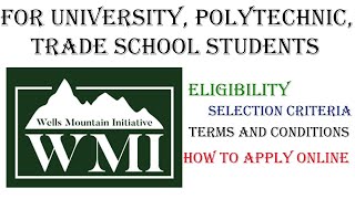 Wells Mountain Initiative WMI Scholars Program 2021  Scholarships for PostSecondary School [upl. by Sproul284]