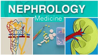 Nephrology Medicine 9  Nephrolithiasis [upl. by Bashee922]