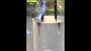 Producing Hydrogen and Oxygen with 2 pencils salt water and a battery [upl. by Euell]