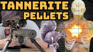 are exploding pellets lethal or a gimmick [upl. by Stag574]