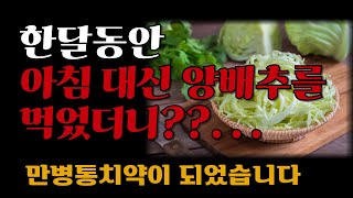 양배추 이렇게 매일 먹었더니 뱃살이 쭉쭉 빠지고 당뇨 고혈압 항암에 최고예요 I 당신이 양배추를 먹어야 하는 이유 I 책 읽어주는 여자 I 오디오북 [upl. by Gowon]