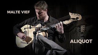 Aliquot by Malte Vief HarpGuitar [upl. by Melva389]