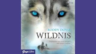 Roddy Doyle Wildnis  Hörbuch [upl. by Nnybor]