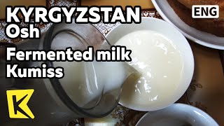 【K】Kyrgyzstan TravelOsh키르기스스탄 여행오시유르트에서 맛보는 쿠미스KumissKoumissYurtFermented milk [upl. by Erv]