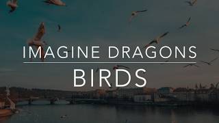 Imagine Dragons  Birds LyricsTraduçãoLegendadoHQ [upl. by Odrawde]