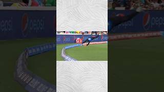 Brendon McCullums Top 3 Greatest Fielding Efforts shorts cricket viralshorts [upl. by Hakeber144]