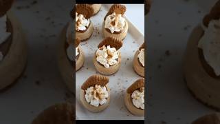 Mini Biscoff Cheesecake  Punchfork recipeshorts nutella lotus [upl. by Arriek]