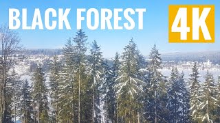 What to do Black Forest Germany 4K UHD Skiing amp Snowboarding [upl. by Tillford453]