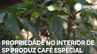 Conexão Agro Produtores apostam em café especial para exportação [upl. by Tingley]