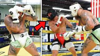 Jake Paul SPARRING For Mike Tyson FULL CLIP [upl. by Salesin]