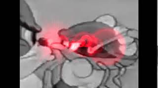 Omae wa mou Shindeiru Tom and Jerry [upl. by Karlyn]