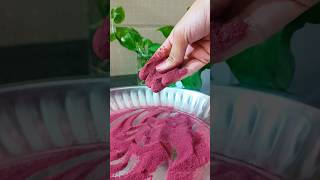 Homemade Beetroot Powder beetrootpowder homemade beetroot glowingskin shorts tamil beautytips [upl. by Doy323]