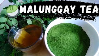 How to make Malunggay Tea powder  TutorialTube PH [upl. by Arlyne]