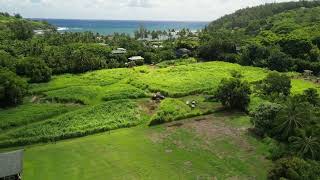 Reasonably priced vacant land in Moloaa Kauai [upl. by Couchman]