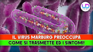 Il Virus Marburg Preoccupa Come Si Trasmette ed I Sintomi [upl. by Anirak251]