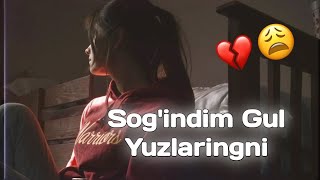 Sogindim Gul Yuzlaringni  Согиндим гул юзларингни [upl. by Enylekcaj]