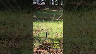 Sprinkler rotary nozzleHuntersprinklerIrrigationsprinklerlandscapingtrendingvideosshortsfyi [upl. by Thar]