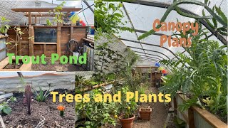 Greenhouse update Trout Pond 20 trees and plants [upl. by Attenborough397]