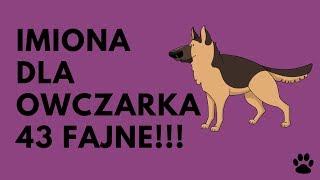 Imiona Dla Owczarka Niemieckiego 43 Fajne  Imionowo [upl. by Hpseoj82]