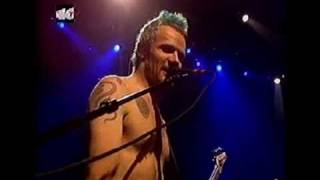 Red Hot Chili Peppers  Cant Stop  Live at Madrid [upl. by Blanch]