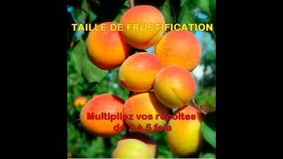 Multipliez vos récoltes 5 fois avec la taille fructification dabricotier [upl. by Halihs]