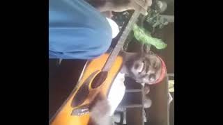 Iyanya kukere cover music video guitar acoustic covers African music [upl. by Sacks]