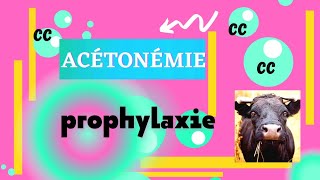 ACÉTONÉMIE  prophylaxie et FIN [upl. by Veedis]