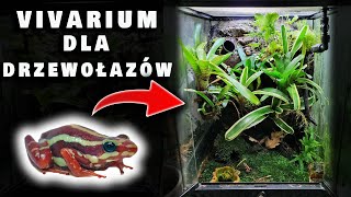 Pierwsze Drzewołazy i Aktualizacja Małego Vivarium  Epipedobates Anthonyi [upl. by Caterina]