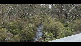 Jarrahdale Forest Trip [upl. by Mireille]